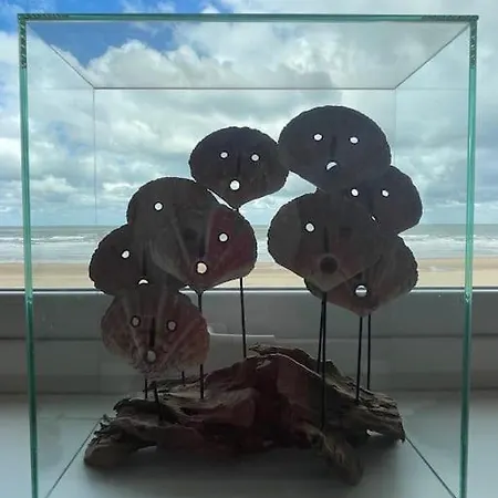 Appartement C The C -